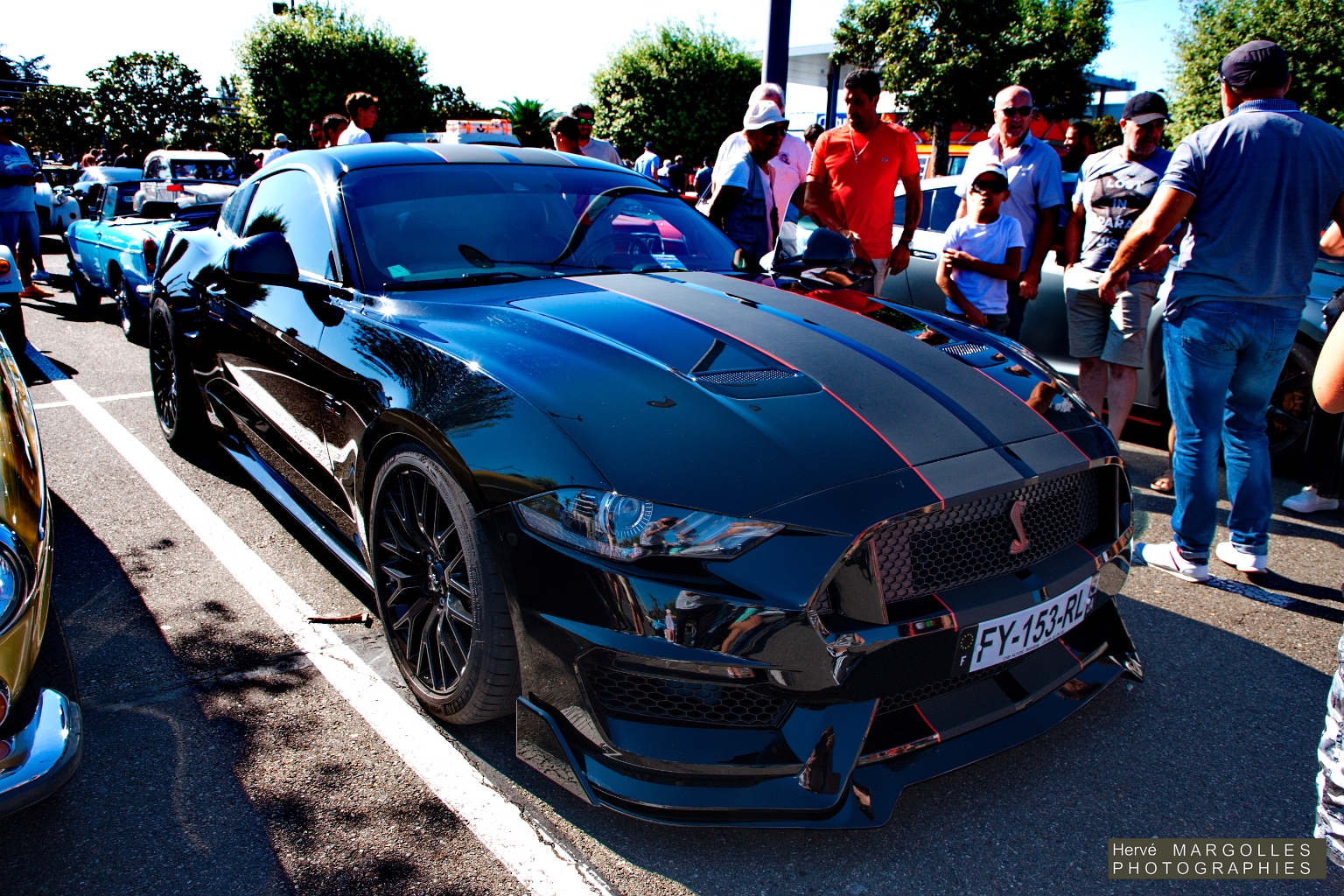 Ford Mustang Cobra -01.jpg
